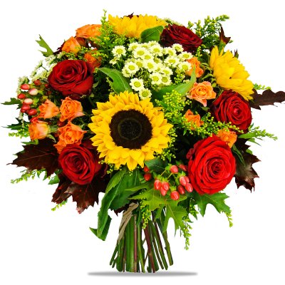 Mischung aus Sonnenblumen
