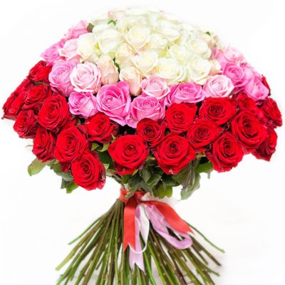 Mega puget trio of roses