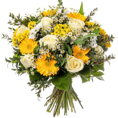 Weiße Rosen und gelbe Germini