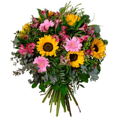 Sonnenblumen und Alstrometrie