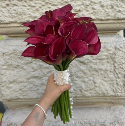 WhatsApp Image 2026-02-03 at 13.25.16.jpeg