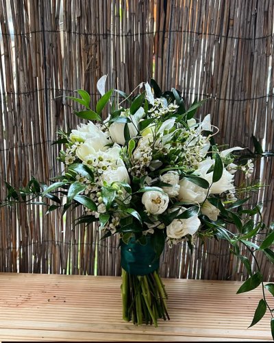 WhatsApp Image 2026-02-03 at 13.25.21.jpeg