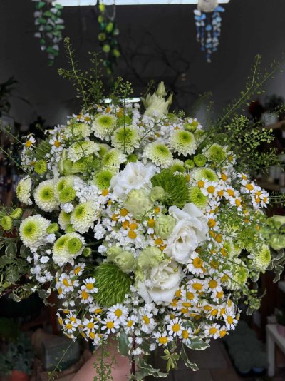 WhatsApp Image 2026-02-03 at 13.25.23 (1).jpeg