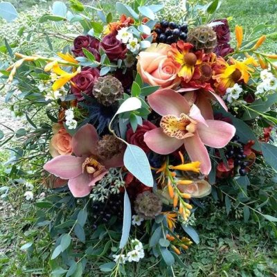 WhatsApp Image 2026-02-03 at 13.36.54 (1).jpeg