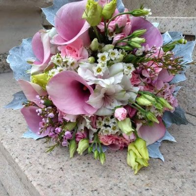 WhatsApp Image 2026-02-03 at 13.36.54 (5).jpeg