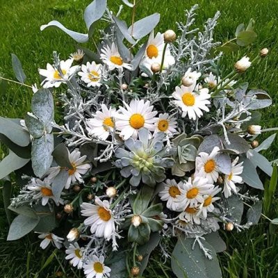 WhatsApp Image 2026-02-03 at 13.36.54 (6).jpeg