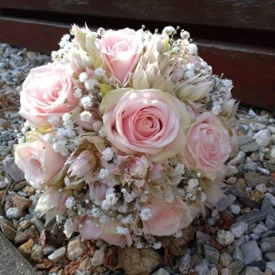 WhatsApp Image 2026-02-03 at 13.36.55 (1).jpeg