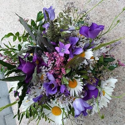 WhatsApp Image 2026-02-03 at 13.36.56.jpeg