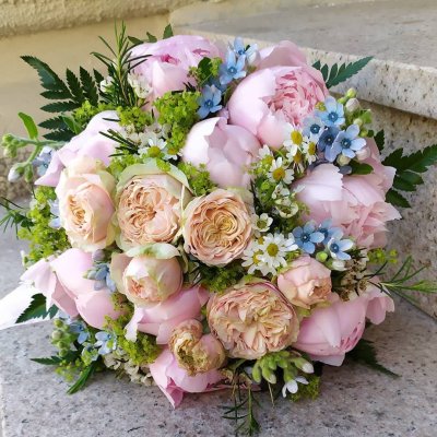 WhatsApp Image 2026-02-03 at 13.36.58 (3).jpeg