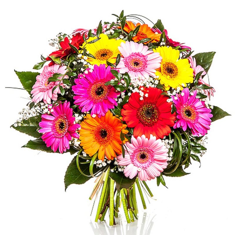 Germínky pro radost