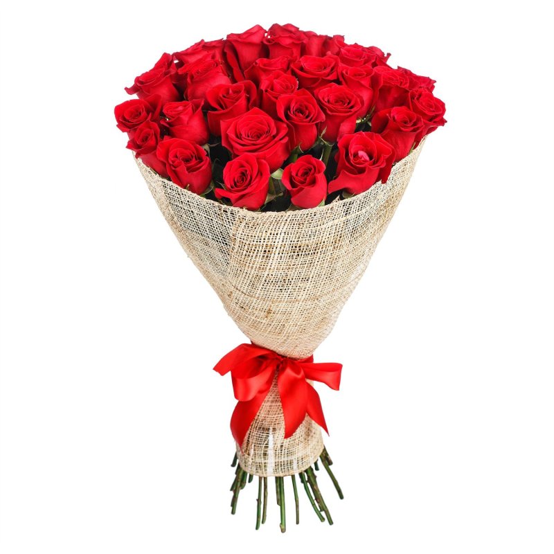 Puget 35 Rote Rosen