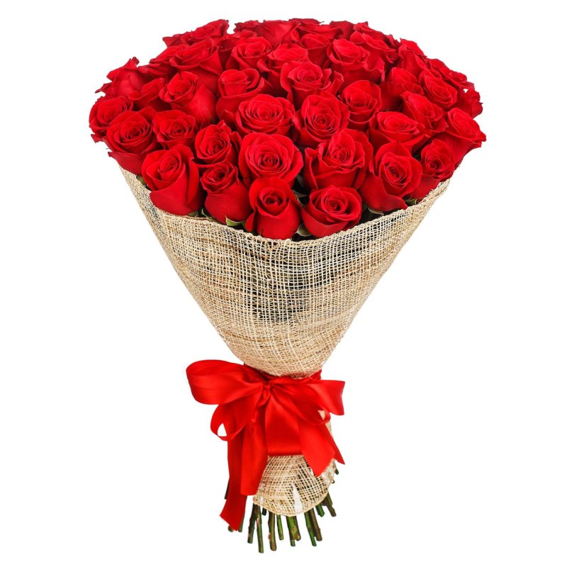 Puget 50 Rote Rosen
